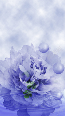 梦幻紫色花卉化妆品H5背景背景