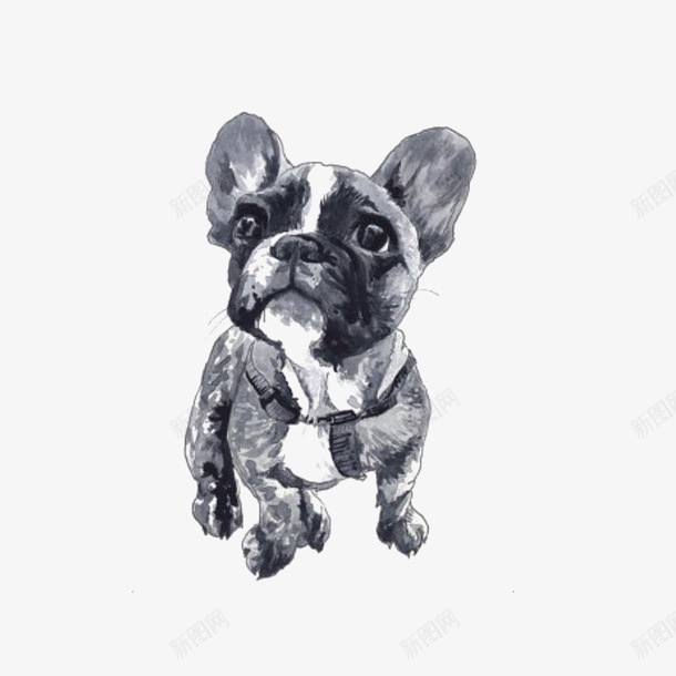 黑色的水墨宠物狗png免抠素材_88icon https://88icon.com 宠物 狗狗 小狗 水墨小狗 装饰图 免抠图 装饰画 效果图