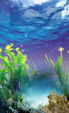 补水保湿化妆品蓝色水藻海报背景素材背景