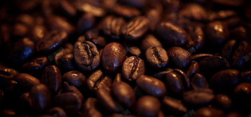 咖啡豆背景图背景