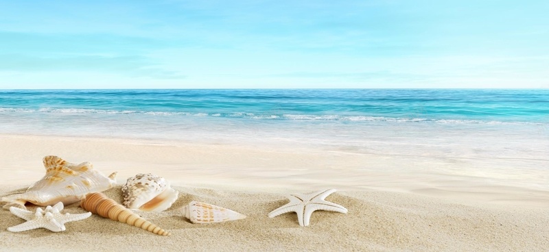 精美沙滩和贝壳背景图片背景