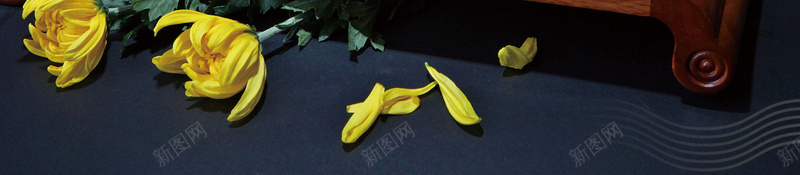 菊香蟹肥免费大闸蟹pop宣传海报psd设计背景_88icon https://88icon.com 大闸蟹宣传单 阳澄湖大闸蟹 大闸蟹海报 螃蟹 大闸蟹彩页 大闸蟹DM 大闸蟹折页 大闸蟹挂画 鱼虾蟹