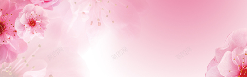 女性化妆品背景jpg设计背景_88icon https://88icon.com 海报banner