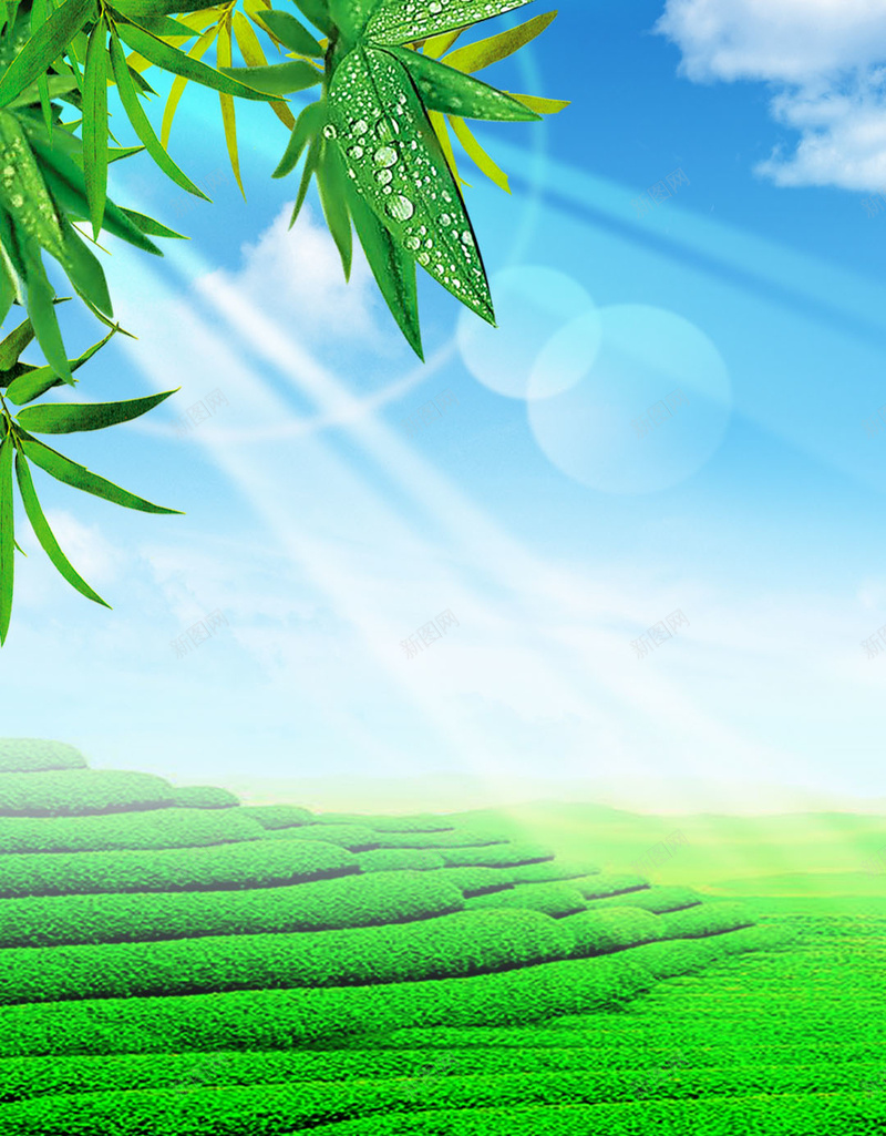竹子绿茶H5背景psd设计背景_88icon https://88icon.com 阳光四射 白云 竹子 绿茶 蓝天 H5 h5 文艺 小清新 简约