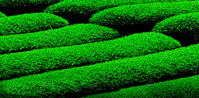 竹子绿茶H5背景psd设计背景_88icon https://88icon.com 阳光四射 白云 竹子 绿茶 蓝天 H5 h5 文艺 小清新 简约