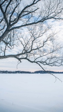 冰雪世界白色户外场景摄影H5背景背景