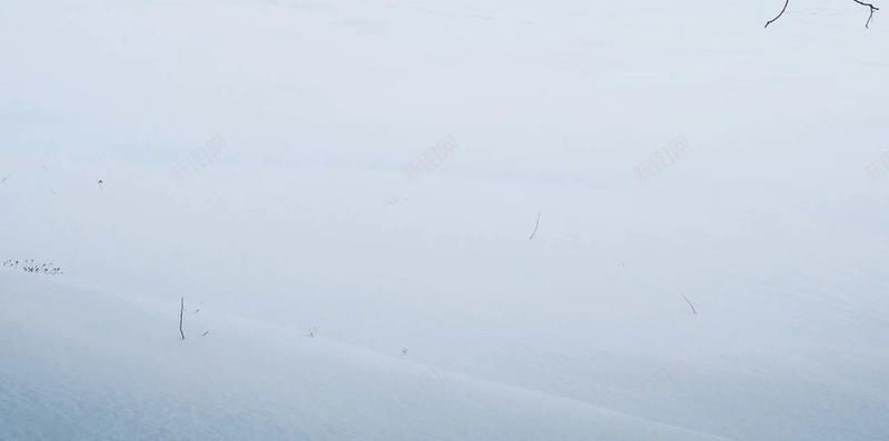 冰雪世界白色户外场景摄影H5背景jpg设计背景_88icon https://88icon.com 冰雪世界 枯树枝 村落 户外摄影 蓝色天空 白色大雪 户外场景 晴天