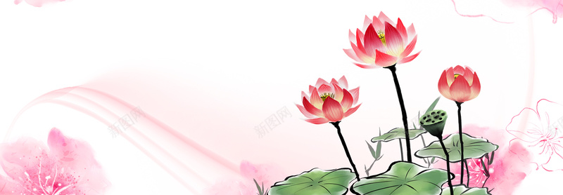 灿烂荷花海报banner背景jpg设计背景_88icon https://88icon.com 商务banner 商务会议 商务办公 商务背景 商务 商务合作 商务名片 商务邀请函 卡通商务背景