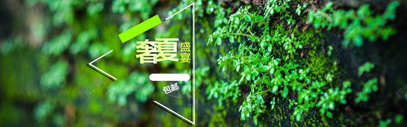 奢夏盛宴psd设计背景_88icon https://88icon.com 女装banner 海报banner 新品上新 植物 绿色 奢夏盛宴