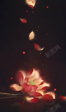 中国风水墨画莲花海报背景素材背景