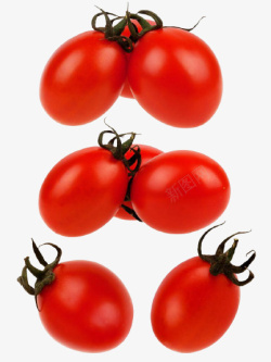 小番茄蔬菜有机蔬菜图片素材