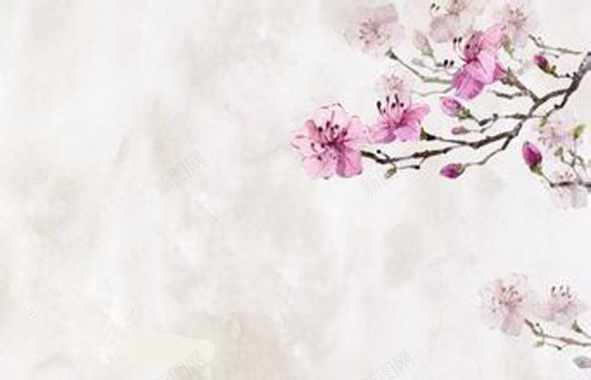 中国风手绘花卉海报背景素材背景