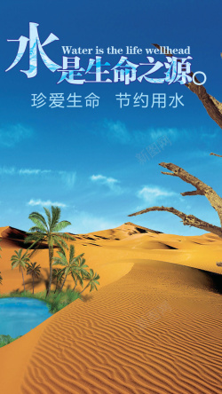 沙漠枯树枝保护水沙漠H5背景高清图片