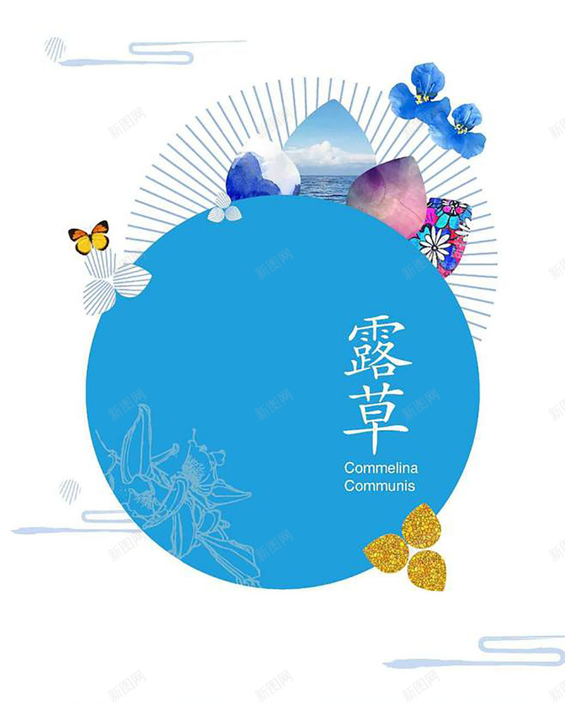 露草背景图jpg设计背景_88icon https://88icon.com 卡通 天空 童趣 蓝色 蝴蝶 兰花稳重白色 手绘