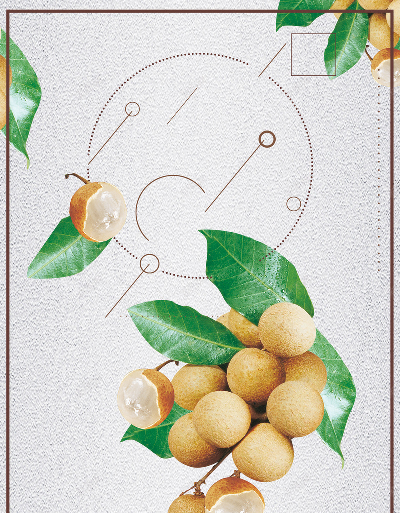 简约时尚美味桂圆海报背景psd设计背景_88icon https://88icon.com 龙眼干海报 桂圆海报 龙眼海报 桂圆干 桂圆肉 美味桂圆 桂圆包装 滋补药材 新鲜龙眼 中医养生