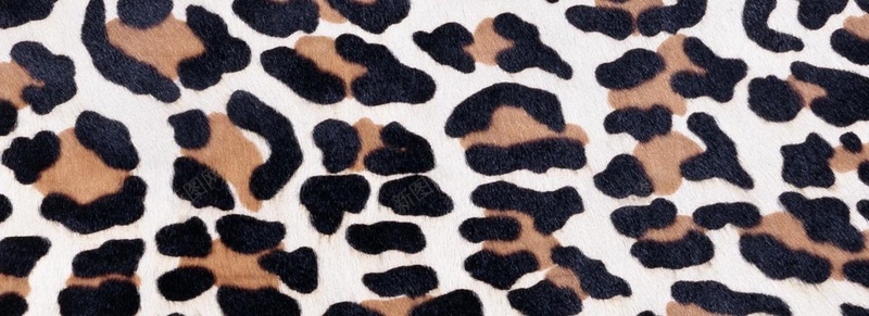 动物皮毛纹理背景jpg设计背景_88icon https://88icon.com 黑白色 动物 斑点 皮毛 纹理 海报banner 质感