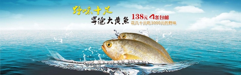大黄鱼bannerjpg设计背景_88icon https://88icon.com 黄鱼 鱼类 大海 海洋 海鲜 大黄鱼 海产品 海报banner