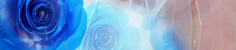 蓝色渐变指甲丝带背景素材图jpg设计背景_88icon https://88icon.com 开业宣传 美甲开业 丝带 指甲 蓝色 渐变色甲油 蓝色丝带 渐变蓝色 素材背景