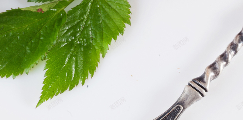 巧克力蛋糕西点背景jpg设计背景_88icon https://88icon.com 巧克力 简约 蛋糕 西点 西餐 H5 h5