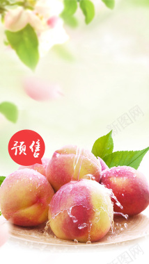 新鲜水果水蜜桃宣传海报背景素材背景