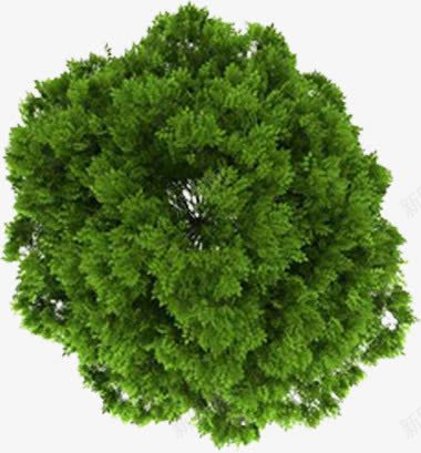 绿色树影植物角度高清png免抠素材_88icon https://88icon.com 绿色 树影 植物 角度