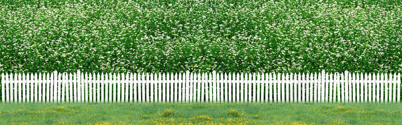 绿色植物海报背景背景