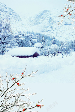 白雪场景蓝色白雪淡雅古典户外场景建筑设计高清图片