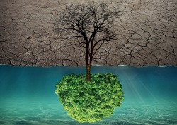 干枯的地球干枯地球植树节爱护水资源背景高清图片