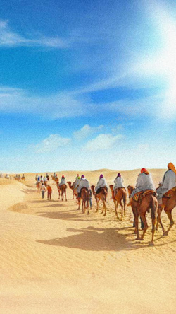 蓝色骆驼骆驼沙漠背景高清图片