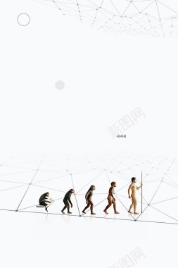 简约几何人类进化背景