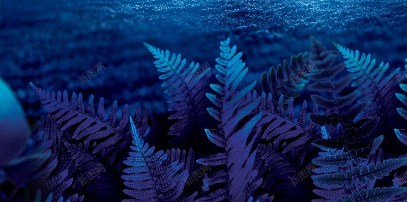 海底化妆品水滴护肤H5背景素材psd设计背景_88icon https://88icon.com 化妆品 商业 水滴 海底 蓝色 护肤H5背景素 大气 松茸 psd 冰块 补水