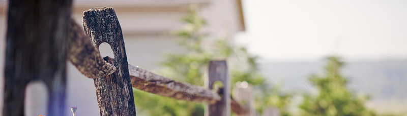 珠宝饰品眼镜手机数码电脑办公大家电jpg设计背景_88icon https://88icon.com 海报banner 珠宝饰品 眼镜手机 数码 文艺 电脑办公大家电 小清新 简约