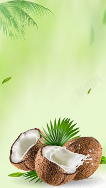 海南椰子夏季水果H5背景素材背景