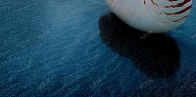 海面上的海螺H5背景jpg设计背景_88icon https://88icon.com 大气 海洋 水面 涟漪 海螺 风景 摄影