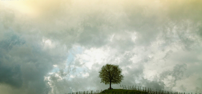 灰色天空下的树木图片jpg设计背景_88icon https://88icon.com 树 藤 景观 心情 天空 希尔葡萄 绿色 广阔 暗灰 树木 灰色天空下的树木图片 海报banner 摄影 风景