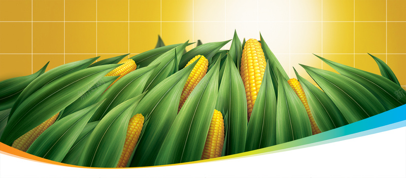玉米油广告宣传海报背景