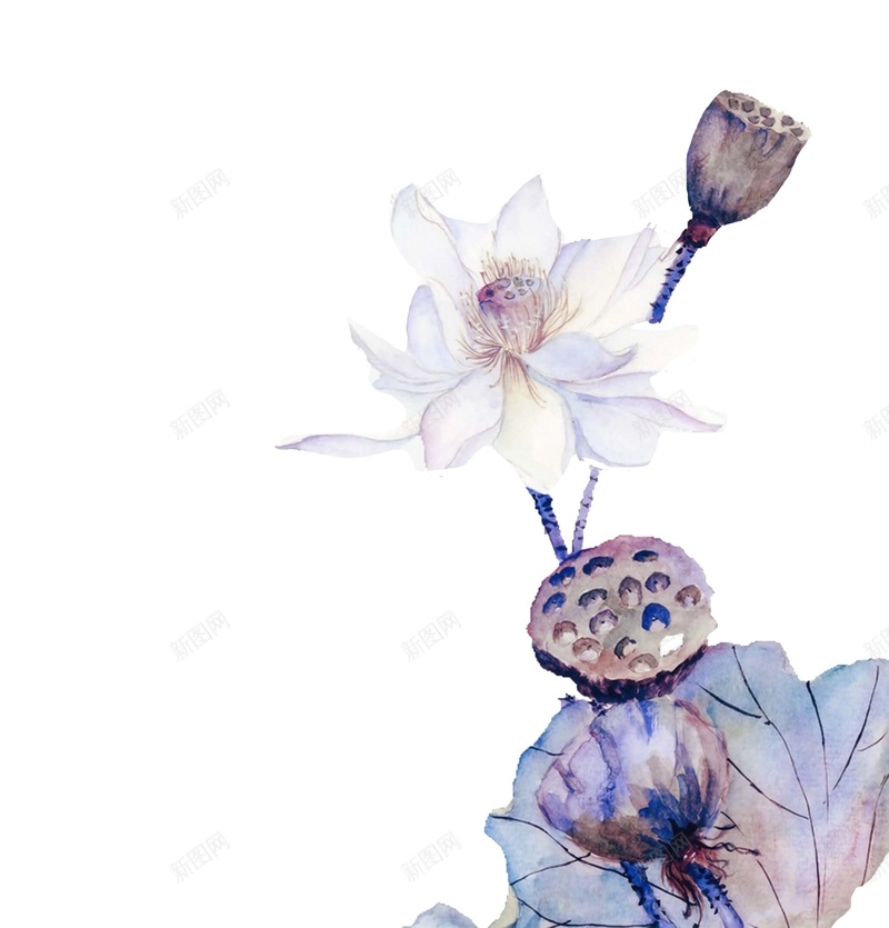 莲蓬花背景素材psd设计背景_88icon https://88icon.com 中国风 水墨 莲蓬 花 中国风图片下载