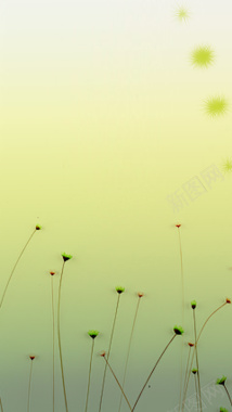 淡黄植物淡雅背景图背景