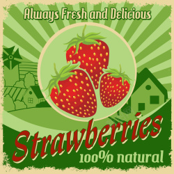 草莓园草莓庄园可口草莓高清图片