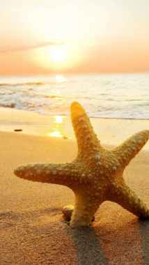 浪漫梦幻沙滩海星h5背景背景
