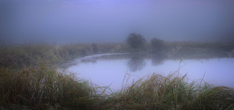 池塘jpg设计背景_88icon https://88icon.com 水面 芦苇 雾 油画风 海报banner 摄影 风景