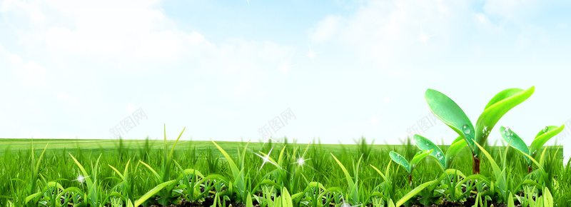 绿草地小草特写高清素材jpg设计背景_88icon https://88icon.com 背景图 草丛 草原 草地 草 高清图片 环境 绿草 绿草地 绿草地小草特写高清图片 小草 田野