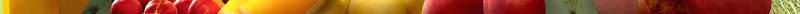 时尚简约果汁海报背景素材psd设计背景_88icon https://88icon.com 果汁 果汁广告 果汁店 果汁店卡通 果汁店展板 果汁店海报 果汁海报 果汁海报图片图片下载 水 水果 鲜榨果汁