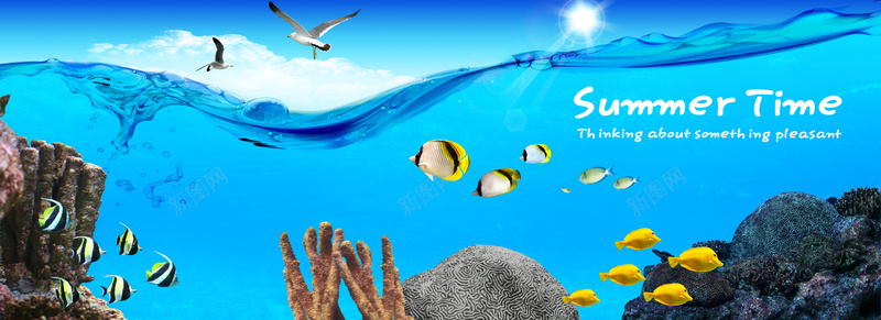 蓝色海洋生物banner背景背景