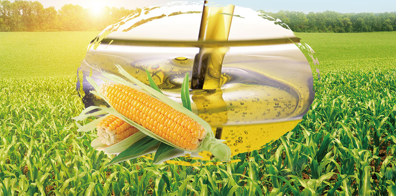 非转基因食用油类健康油H5背景素材psd设计背景_88icon https://88icon.com 食品海报 压榨油 食用油 吃的 食品 油类 食用油类 健康油 非转基因 玉米油海报 植物油 纯玉米油