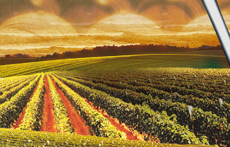 梦幻葡萄庄园红酒背景素材psd设计背景_88icon https://88icon.com 农庄 梦幻 红酒 背景 葡萄 素材 广告 酒杯 品质 高雅 品尝 采摘 发酵 历史 品牌