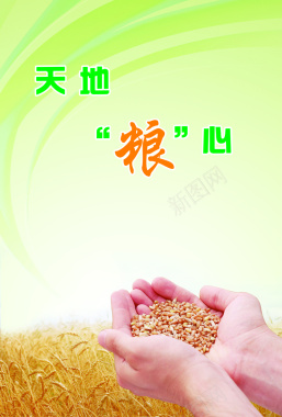 杜绝浪费公益海报水稻背景素材背景