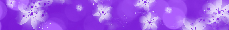 紫色炫彩背景海报素材jpg设计背景_88icon https://88icon.com 梦幻背景 梦幻紫 圆圈 紫色 花 花纹 紫色背景 紫色海报 紫色素材 梦幻海报