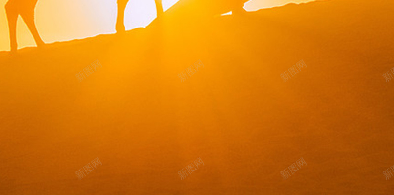 沙漠中的骆驼美女H5背景素材jpg设计背景_88icon https://88icon.com 余辉 沙漠 温暖 美女 阳光 沙漠中的骆驼美女 温馨 简约 H5背景素材
