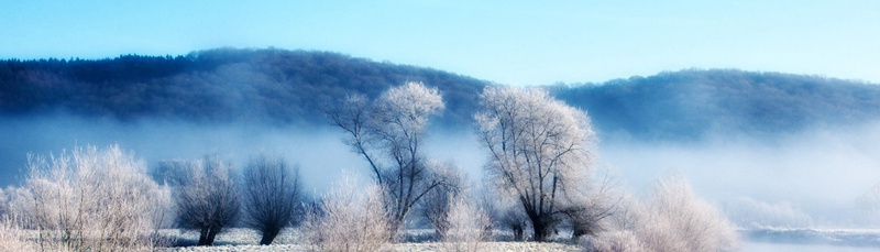 梦幻背景图免费下载清新淘宝背景梦幻淘宝背景jpg设计背景_88icon https://88icon.com 清新 淘宝背景 梦幻 海报banner 摄影 梦幻背景图免费下载 风景